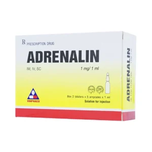 Dung dịch tiêm Adrenalin 1mg/1ml hồi sức tim phổi, cấp cứu choáng phản vệ (2 vỉ x 5 ống)