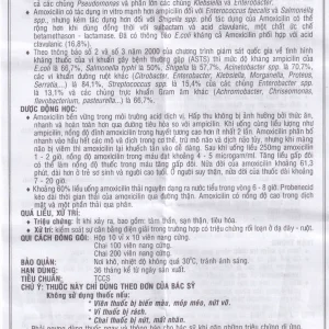 Thuốc Amoxycilin 500mg Vidipha điều trị nhiễm khuẩn (10 vỉ x 10 viên)