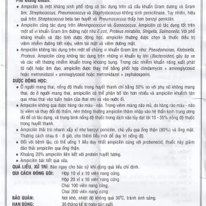 Thuốc Ampicilin 500mg Vidipha điều trị nhiễm khuẩn (10 vỉ x 10 viên)