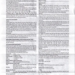 Bột Augmentin 500mg/62.5mg GSK điều trị nhiễm khuẩn (12 gói)