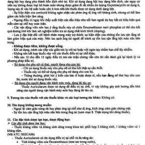 Thuốc nhỏ tai Auricularum điều trị viêm tai (1 lọ bột x 1 ống dung môi 10ml)