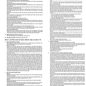 Thuốc Corneil 5 Đạt Vi Phú điều trị tăng huyết áp, đau thắc ngực (3 vỉ x 10 viên)