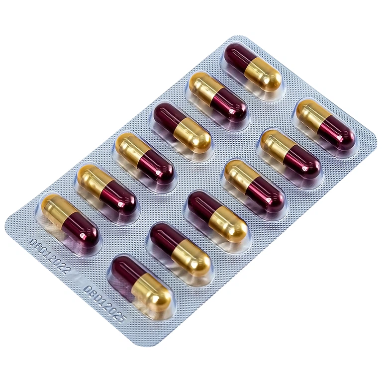 Viên uống Đại Tràng Tâm Bình hỗ trợ giảm các triệu chứng của viêm đại tràng cấp và mãn tính (5 vỉ x 12 viên)