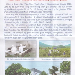 Viên uống Đại Tràng Tâm Bình hỗ trợ giảm các triệu chứng của viêm đại tràng cấp và mãn tính (5 vỉ x 12 viên)