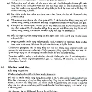 Thuốc tiêm Dalacin C 600mg/4ml Pfizer điều trị nhiễm khuẩn (4ml)