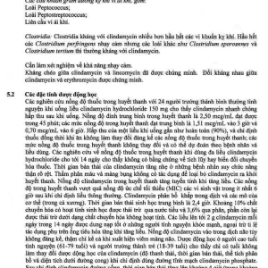 Thuốc tiêm Dalacin C 600mg/4ml Pfizer điều trị nhiễm khuẩn (4ml)