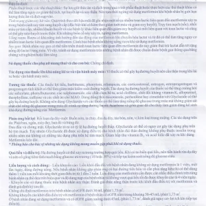 Thuốc Dianorm-M Micro điều trị đái tháo đường (10 vỉ x 10 viên)