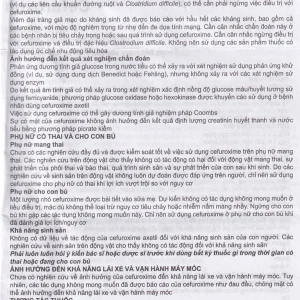 Thuốc Efodyl 500mg điều trị nhiễm khuẩn đường (2 vỉ x 10 viên)