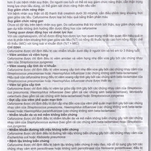 Thuốc Efodyl 500mg điều trị nhiễm khuẩn đường (2 vỉ x 10 viên)