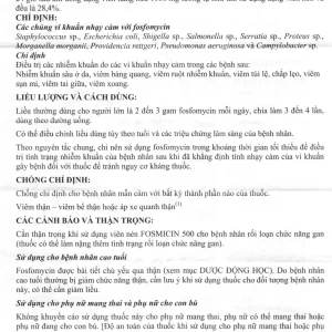 Thuốc Fosmicin 500 Meiji điều trị nhiễm khuẩn (2 vỉ x 10 viên)