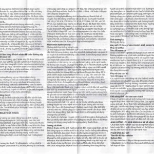 Thuốc Galvus Met 50mg/500mg Novartis điều trị đái tháo đường típ 2 (6 vỉ x 10 viên)