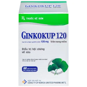 Thuốc Ginkokup 120 United điều trị bệnh sa sút trí tuệ, kể cả bệnh Alzheimer (6 vỉ x 10 viên)