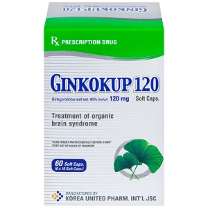 Thuốc Ginkokup 120 United điều trị bệnh sa sút trí tuệ, kể cả bệnh Alzheimer (6 vỉ x 10 viên)