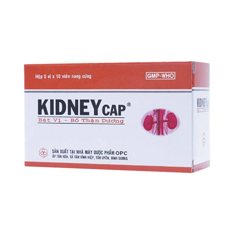Thuốc Kidneycap OPC bát vị, bổ thận dương dùng cho người váng đầu, ù tai (5 vỉ x 10 viên)
