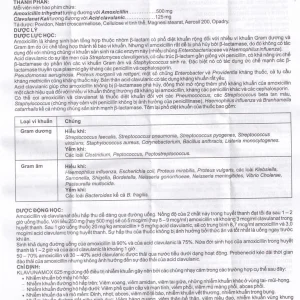 Thuốc Klavunamox 625mg Atabay điều trị nhiễm khuẩn đường hô hấp, da và mô mềm (3 vỉ x 5 viên)