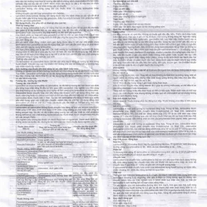 Thuốc Lamzidivir Stella hỗ trợ điều trị nhiễm HIV (5 vỉ x 6 viên)