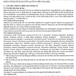 Bột pha tiêm Rocephin F.Hoffmann-La Roche điều trị nhiễm khuẩn huyết, viêm màng não (lọ 1g + ống 10ml)