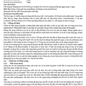 Bột pha tiêm Rocephin F.Hoffmann-La Roche điều trị nhiễm khuẩn huyết, viêm màng não (lọ 1g + ống 10ml)