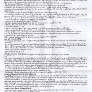 Thuốc Thioridazin 50mg Danapha điều trị bệnh tâm thần phân liệt (100 viên)