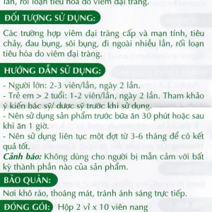 Viên uống Tràng Phục Linh Thái Minh dùng cho người bị viêm đại tràng cấp và mạn tính (2 vỉ x 10 viên)