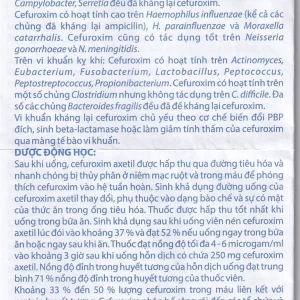 Thuốc Zinmax-Domesco 500mg điều trị nhiễm khuẩn da, nhiễm khuẩn đường tiết niệu (2 vỉ x 5 viên)