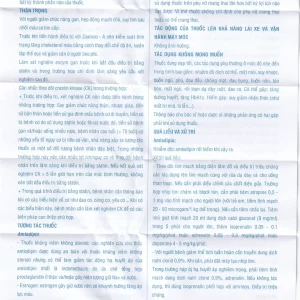 Thuốc Zoamco-A Pymepharco điều trị tăng huyết áp (2 vỉ x 10 viên)