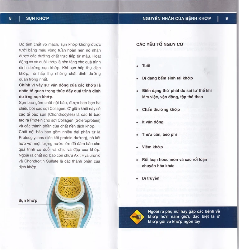 Dung dịch Duo Vital 500ml Gramme Revit giảm đau nhức khớp, thoái hoá khớp