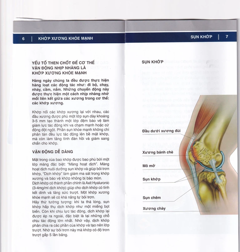 Dung dịch Duo Vital 500ml Gramme Revit giảm đau nhức khớp, thoái hoá khớp