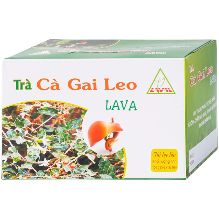 Trà túi lọc Cà Gai Leo Lava hỗ trợ bổ gan, giải độc gan, hạ men gan (5g x 30 túi)