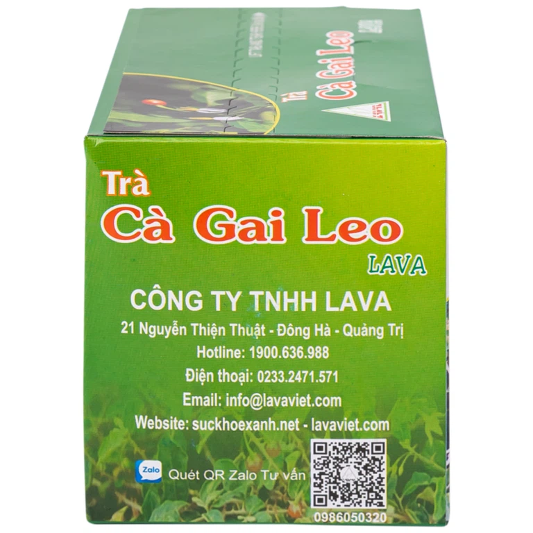 Trà túi lọc Cà Gai Leo Lava hỗ trợ bổ gan, giải độc gan, hạ men gan (5g x 30 túi)