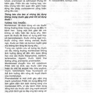 Thuốc Smart-Air 10mg Abbott điều trị hen phế quản mạn tính (1 vỉ x 10 viên)