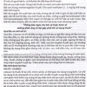 Dung dịch tiêm Lidocain 40mg/2ml Vinphaco gây tê tại chỗ niêm mạc trước (100 ống x 2ml)