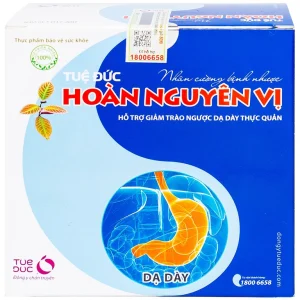 Viên uống Tuệ Đức Hoàn Nguyên Vị hỗ trợ giảm trào ngược dạ dày thực quản (2 lọ x 40 viên)