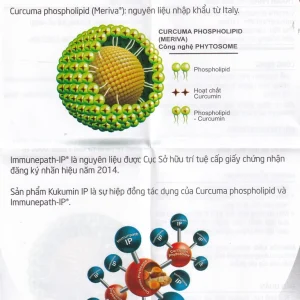 Viên uống Kukumin IP hỗ trợ giảm triệu chứng đau rát thượng vị, ợ nóng, trào ngược (2 vỉ x 10 viên)