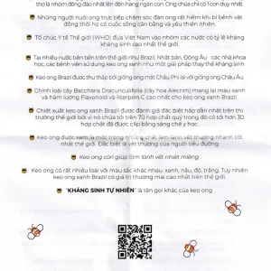 Keo ong xanh Tracybee Propolis Mint & Honey vị bạc hà giúp giảm đau, viêm họng, ho do nhiễm khuẩn (30ml)