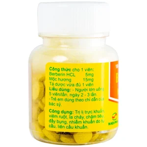 Thuốc Berberin Mộc Hương Hadiphar điều trị lỵ trực khuẩn, hội chứng lỵ (100 viên)