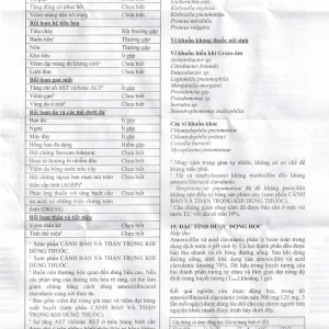 Thuốc Amoksiklav Quick Tabs 625mg Lek điều trị nhiễm khuẩn (7 vỉ x 2 viên)