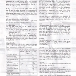 Thuốc Amoksiklav Quick Tabs 625mg Lek điều trị nhiễm khuẩn (7 vỉ x 2 viên)