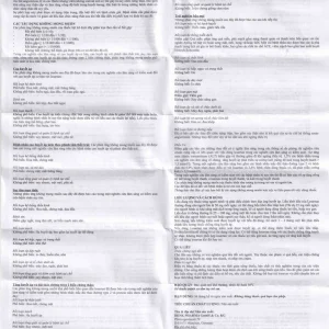 Viên nén Losar-Denk 50 điều trị tăng huyết áp (2 vỉ x 14 viên)