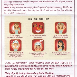 Dầu gội Shitinsof Hán Phương - Linh Chi Đen Tóc Danh Nhân Đường 15ml nhuộm đen và dưỡng tóc (3 gói)