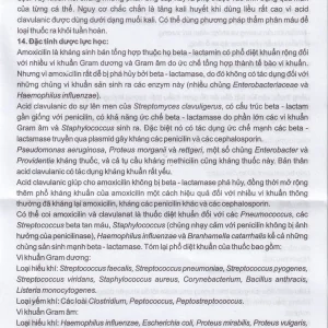 Thuốc Iba-Mentin 1000mg/62.5mg Pharbaco điều trị viêm Amidan, viêm xoang, viêm phế quản (2 vỉ x 7 viên)