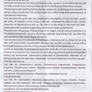 Thuốc bột pha hỗn dịch uống Vigentin 500mg/62,5mg Pharbaco điều trị các chứng nhiễm khuẩn (12 gói x 2g)