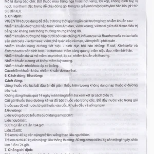 Thuốc bột pha hỗn dịch uống Vigentin 500mg/62,5mg Pharbaco điều trị các chứng nhiễm khuẩn (12 gói x 2g)