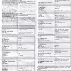 Thuốc Celosti 200 DHG điều trị thoái hóa khớp, viêm khớp dạng thấp (2 vỉ x 10 viên)