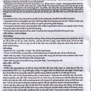 Viên nén Paracetamol 500mg Armepharco điều trị các chứng đau và sốt (10 vỉ x 10 viên)