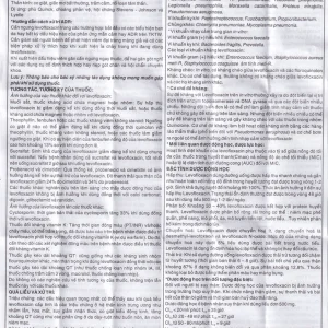 Thuốc Kaflovo 500 Khapharco điều trị nhiễm khuẩn do vi khuẩn, viêm phổi, nhiễm khuẩn da (10 vỉ x 5 viên)