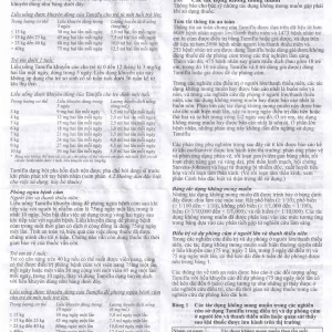 Thuốc Tamiflu Roche điều trị bệnh cúm (1 vỉ x 10 viên)