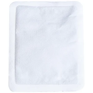 Miếng dán chườm nóng, sưởi ấm Thiên Thanh dùng để giữ ấm trong mùa lạnh (10 miếng)