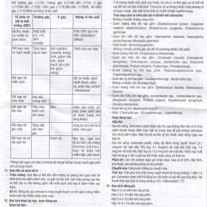 Thuốc Cezirnate 500mg Uphace điều trị các bệnh do nhiễm khuẩn (2 vỉ x 10 viên)