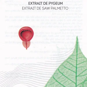 Viên uống Golex Ocevin bổ thận, tăng cường sức khỏe cho nam giới (30 viên)